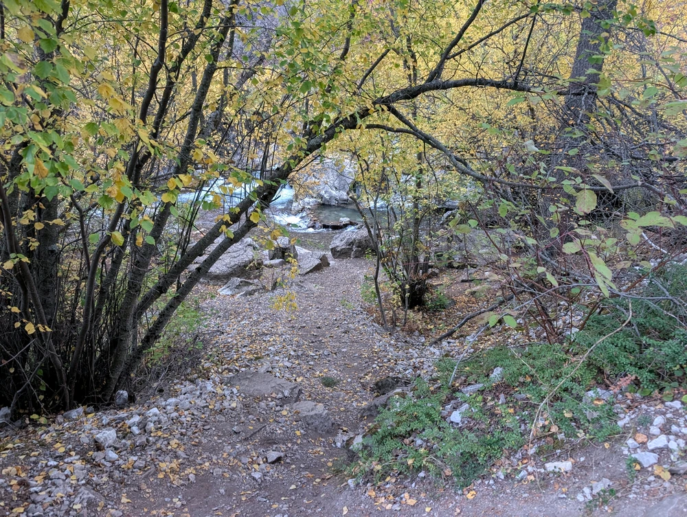 Foto nke Dani tinyere