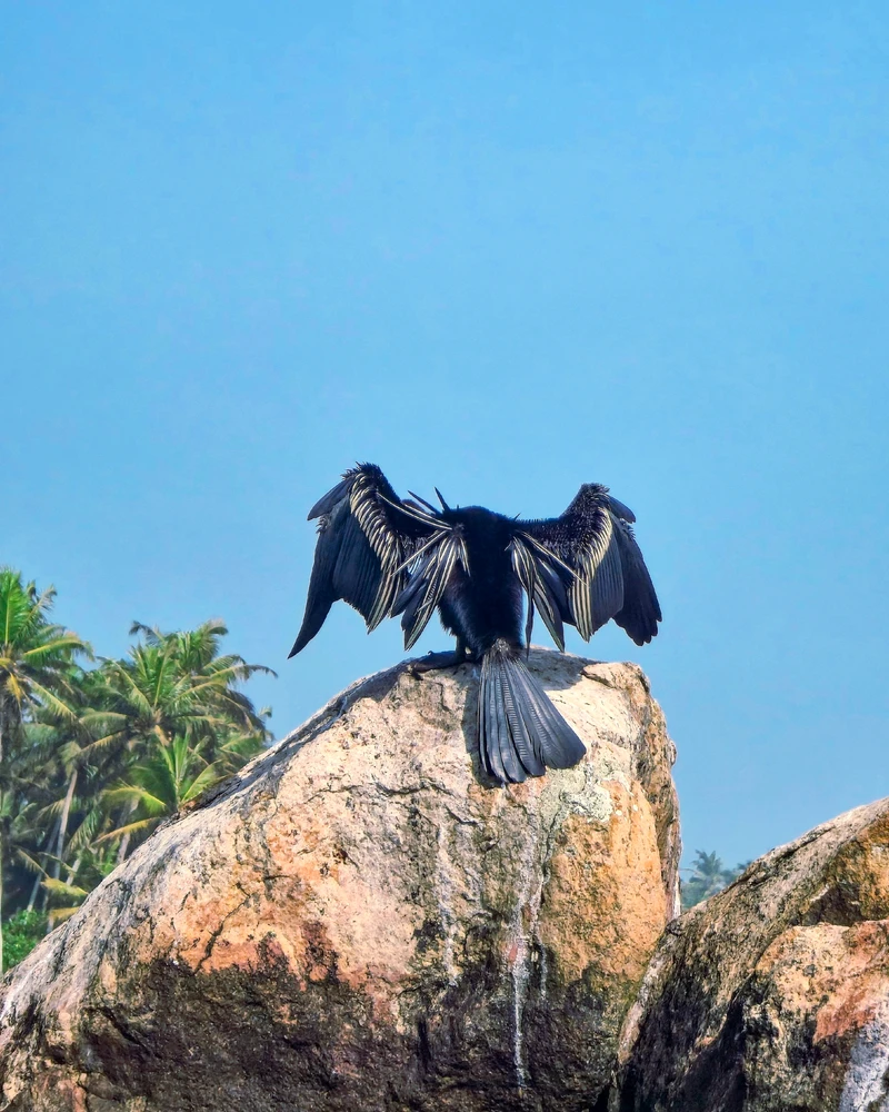 AJH द्वारा अपलोड की गई तस्वीर