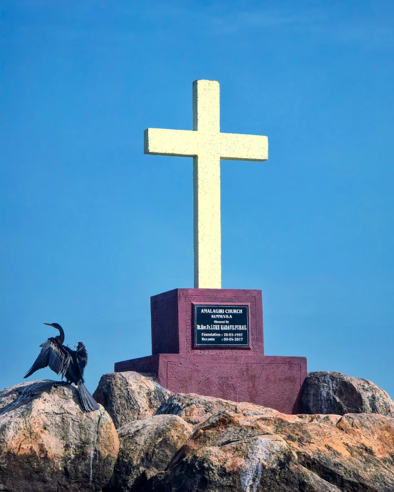 AJH द्वारा अपलोड की गई तस्वीर
