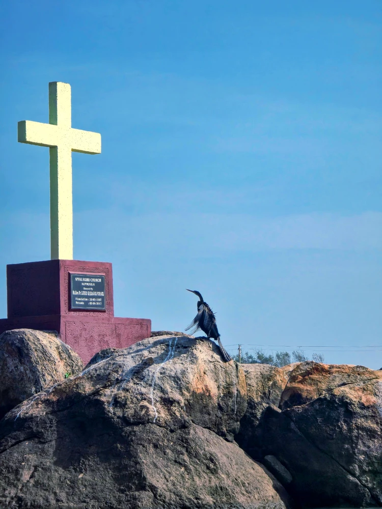 AJH द्वारा अपलोड की गई तस्वीर