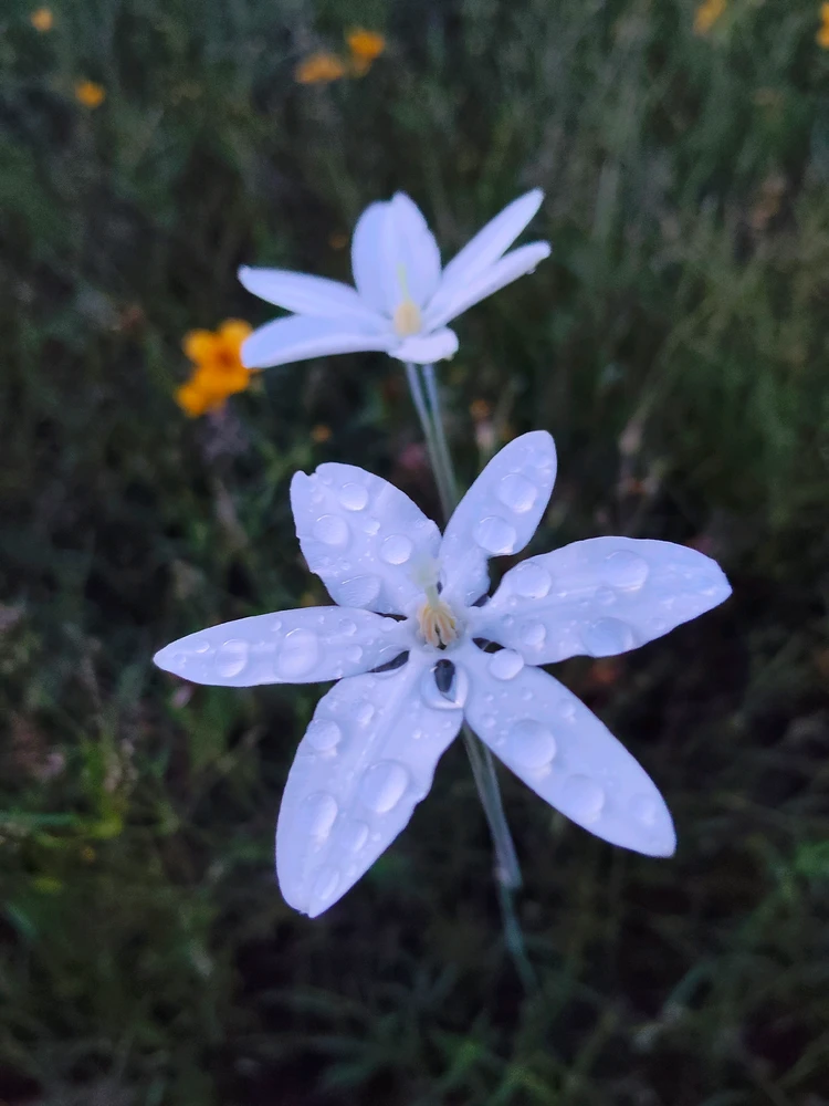 GIF uploaded by Ana