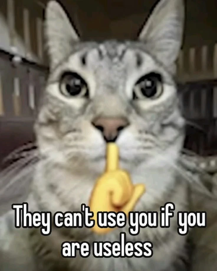 Image uploaded by Kash