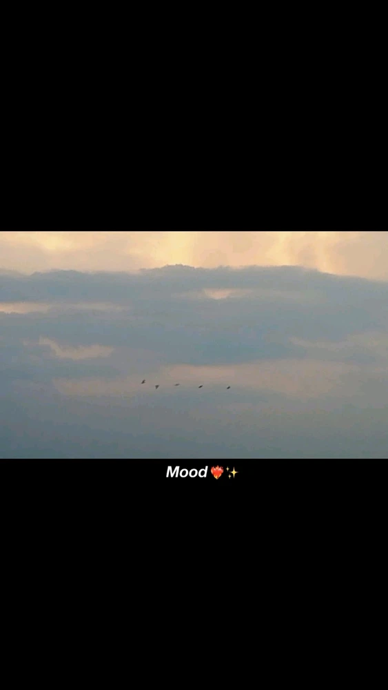 Image uploaded by Siva