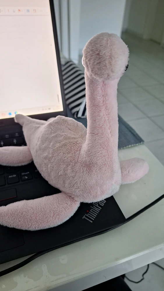 GIF được Tugce tải lên