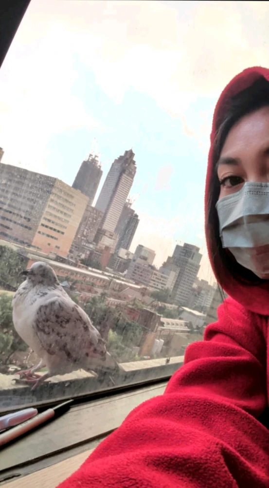 GIF uploaded by Rosa