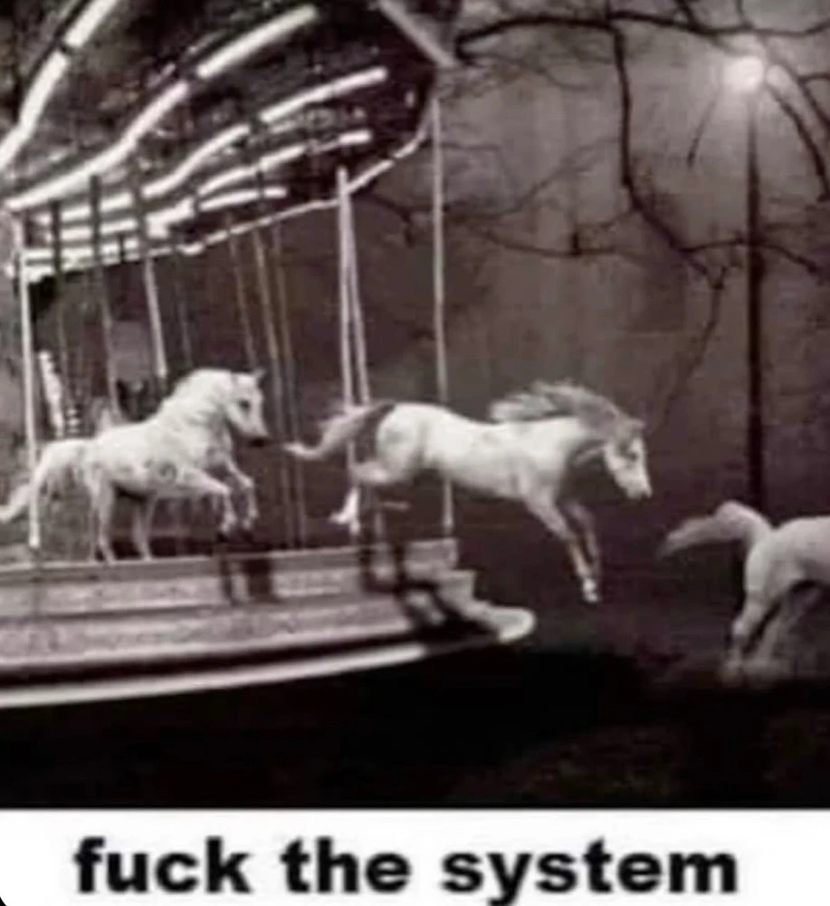 GIF enviado por Rumeysa