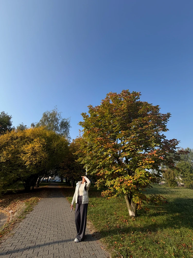 GIF uploaded by Yugi