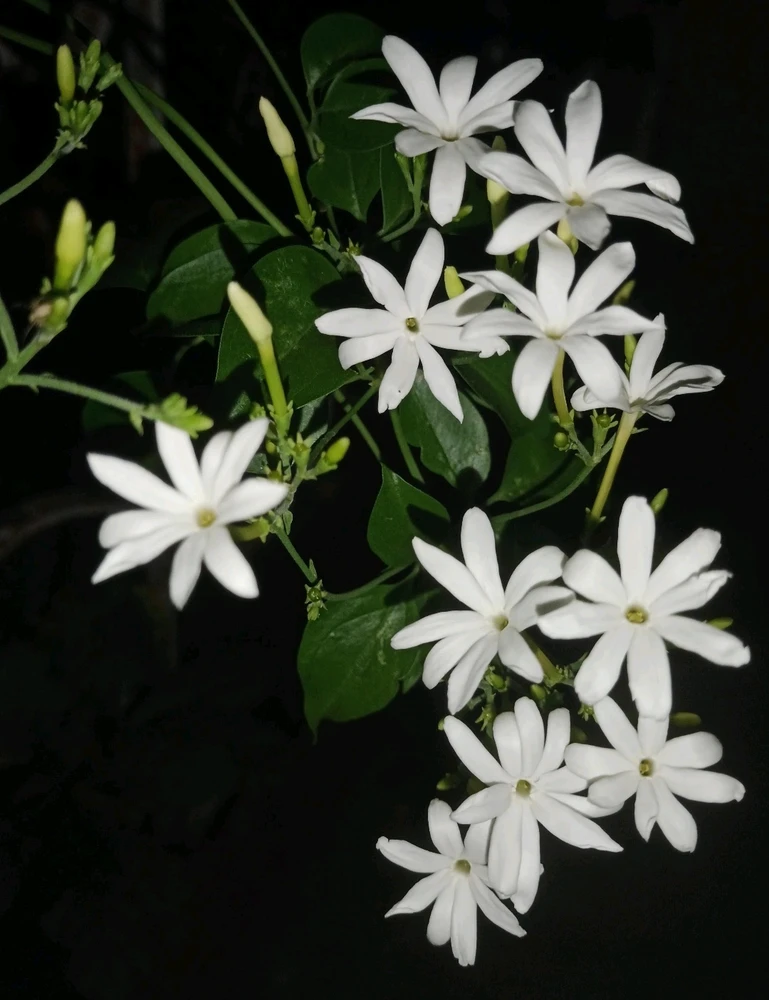 GIF uploaded by Bharath