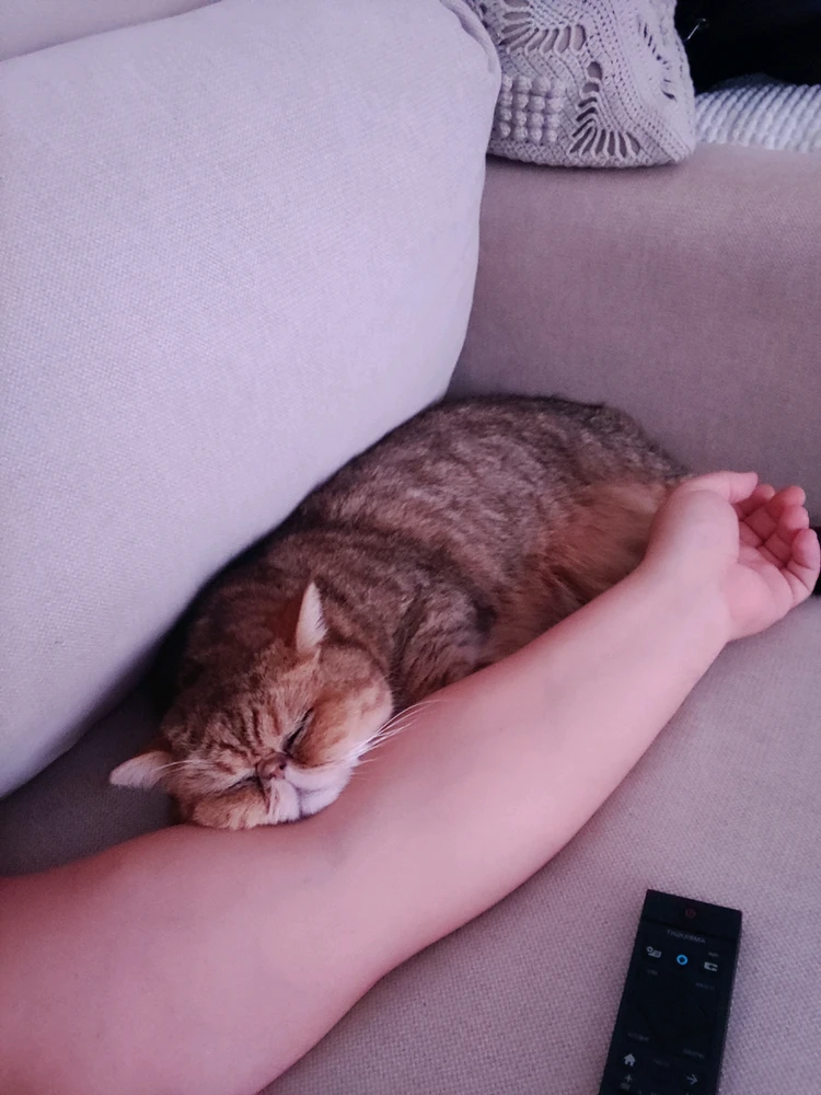 GIF oplaad troch Petteri