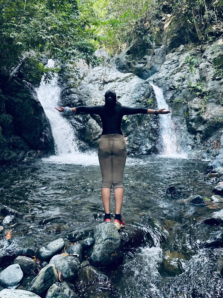 GIF uploaded by rea