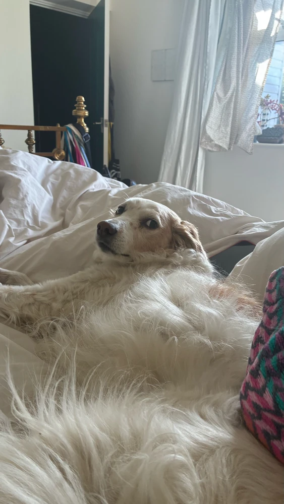 Bild eropgeluede vum Marlowe
