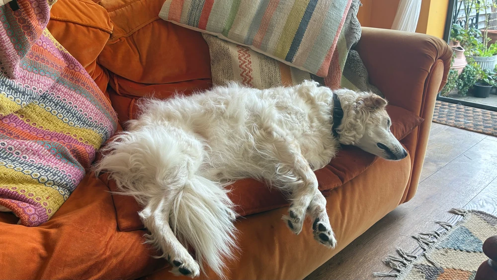 Bild eropgeluede vum Marlowe