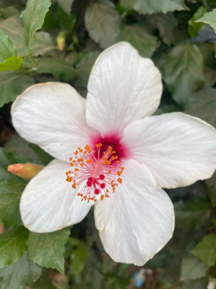 GIF uploaded by Calay