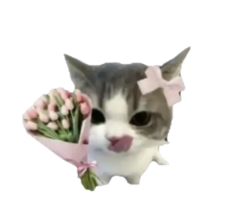 GIF încărcat de Bianca