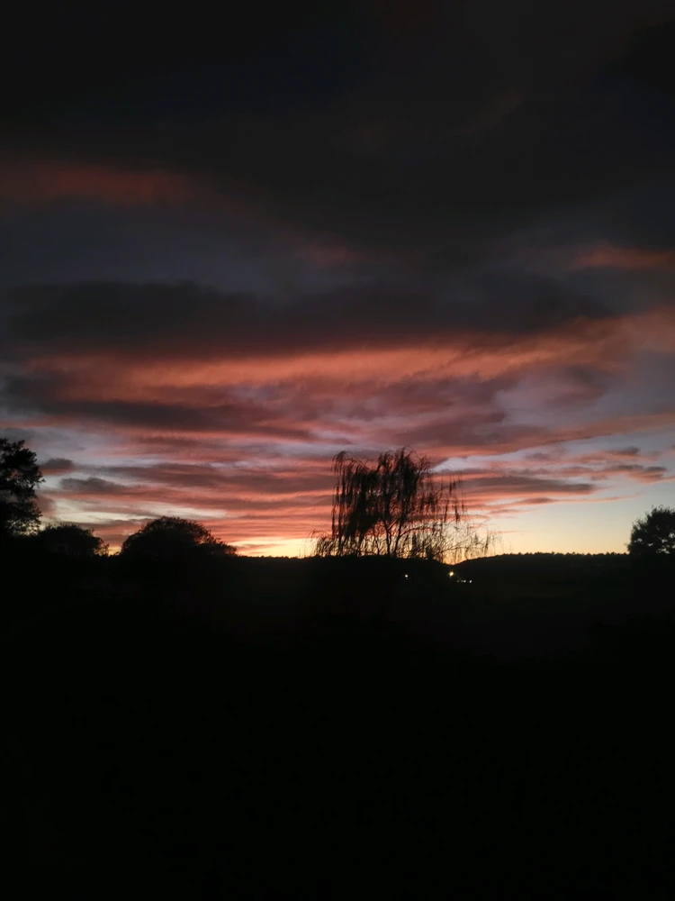 GIF įkėlė Glade