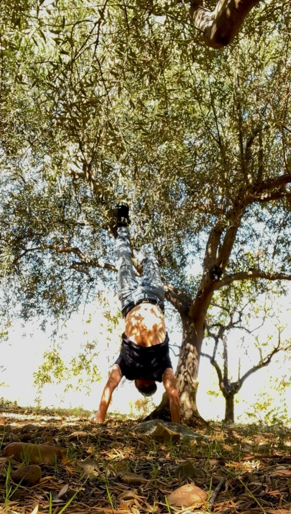 GIF subido por Salvatore