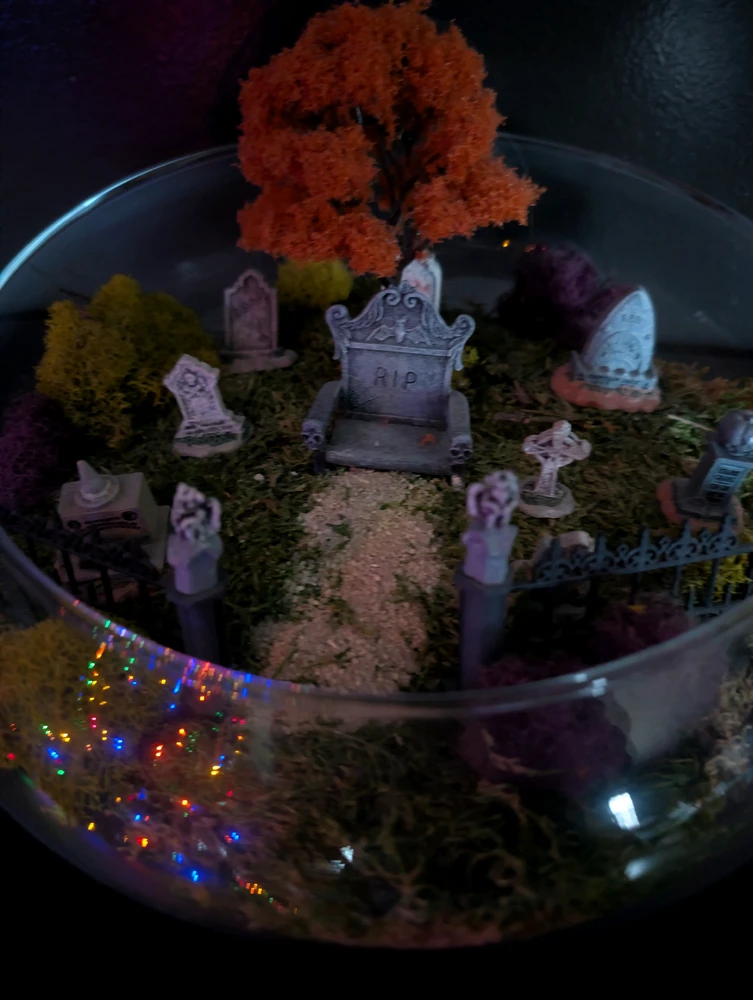 Casper দ্বাৰা আপলোড কৰা GIF