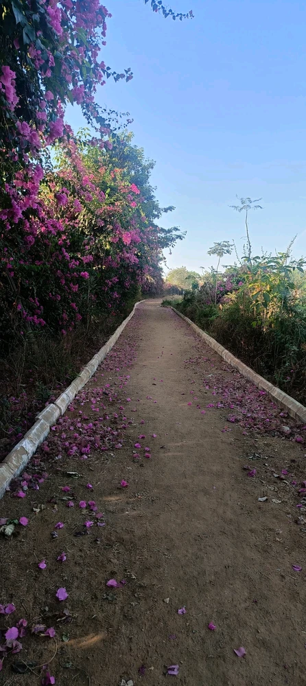 GIF uploaded by Veeraa
