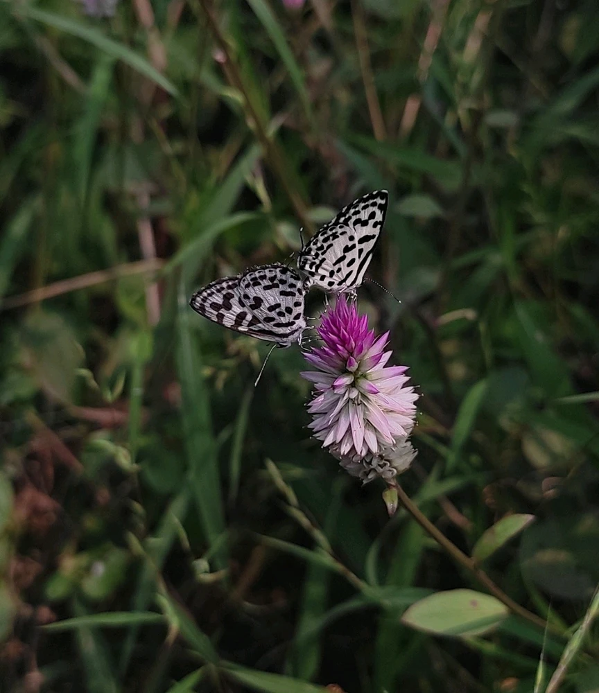 GIF uploaded by Meehir