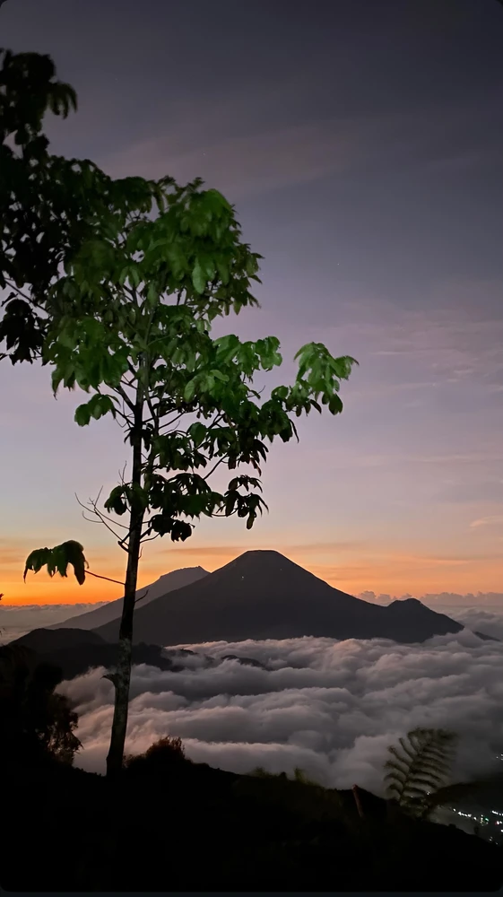 Image uploaded by Anggi