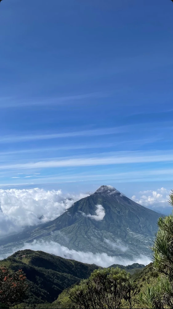 Image uploaded by Anggi