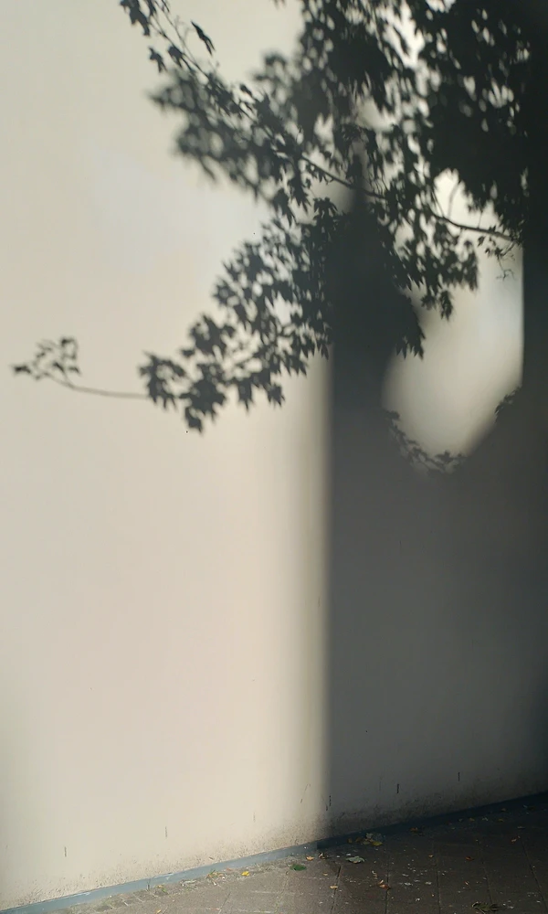 GIF uploaded by Ron