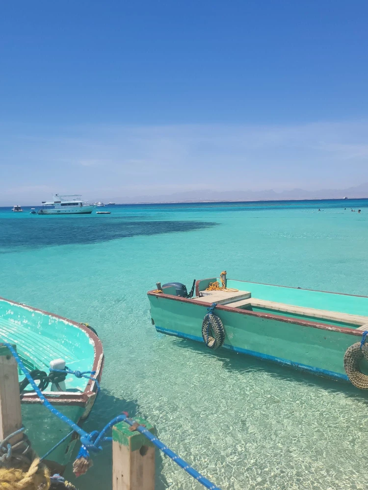 Image uploaded by Kamel