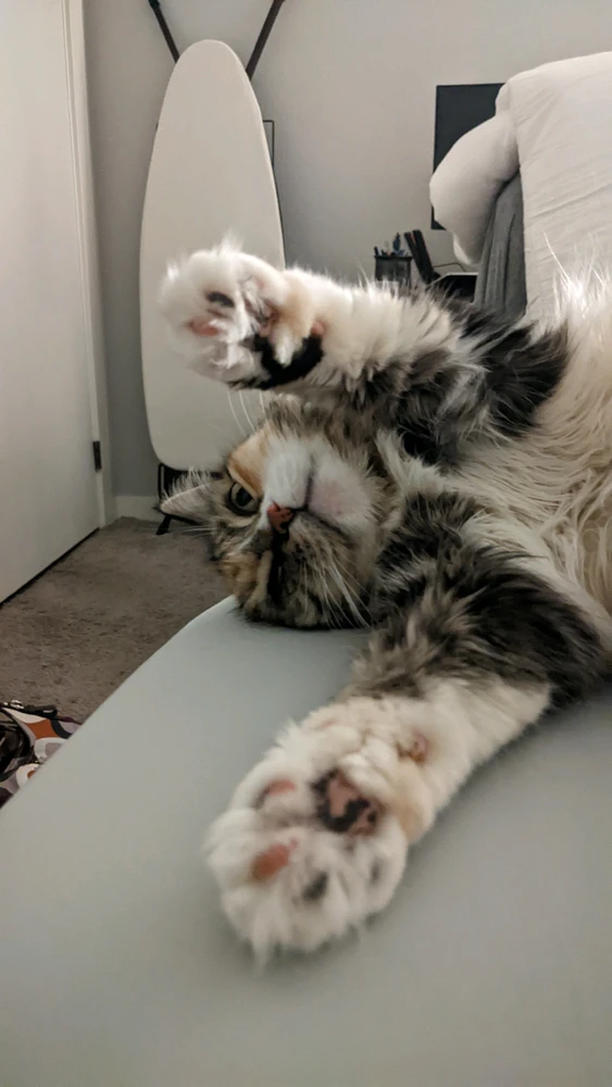 Качено от Leo