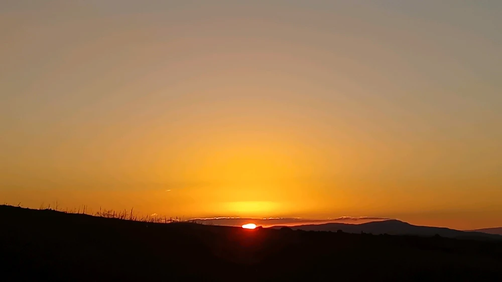 GIF uploaded by Med
