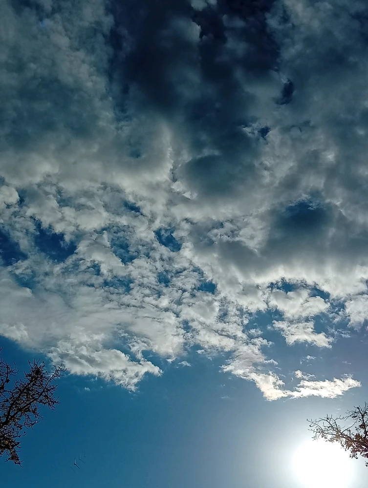 Imagen subida por Rina