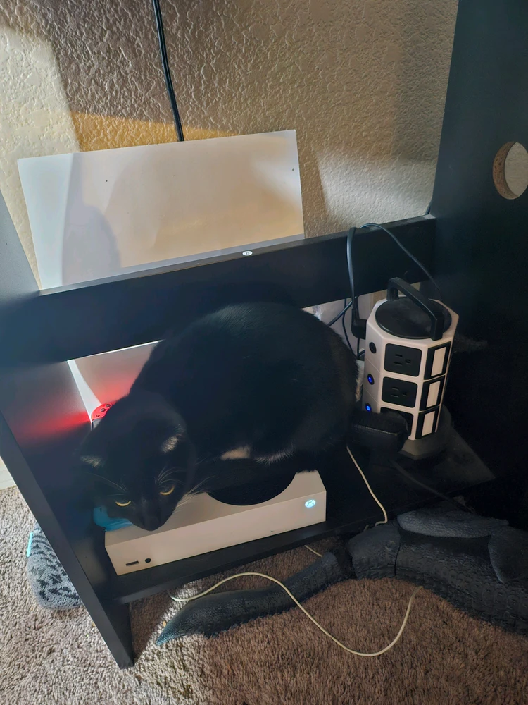 Him using my Xbox as a chair