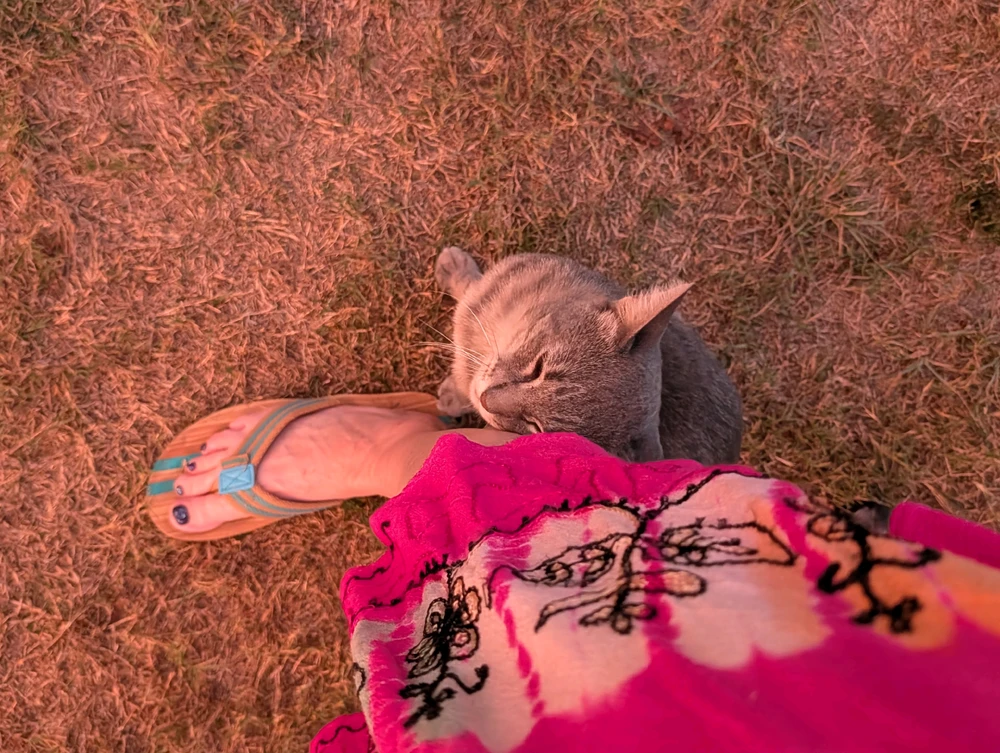 GIF uploaded by Kate