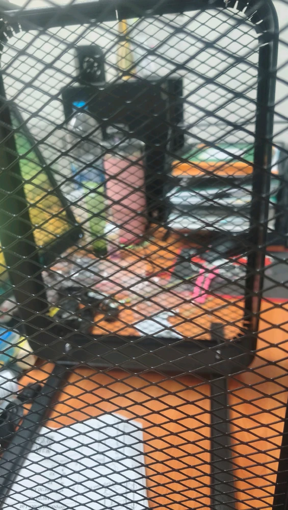 Zdjęcie dodane przez Kan Bunny(⁠ ⁠ꈍ⁠ᴗ⁠ꈍ⁠)カンイヤー