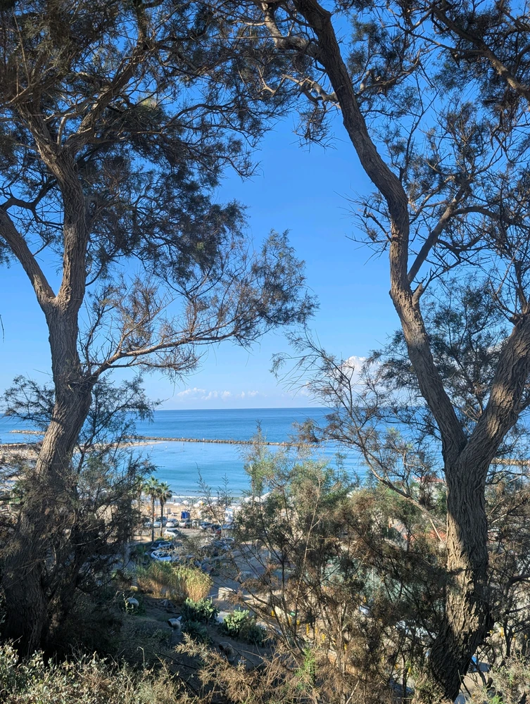 Aviv द्वारा अपलोड किया गया GIF