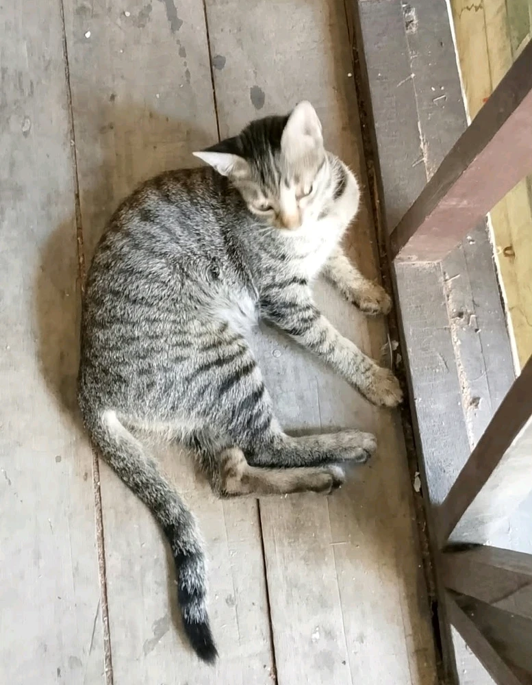 Jann님이 올린 사진