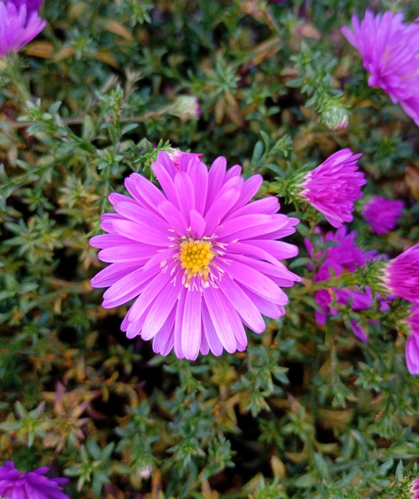GIF uploaded by Samuel
