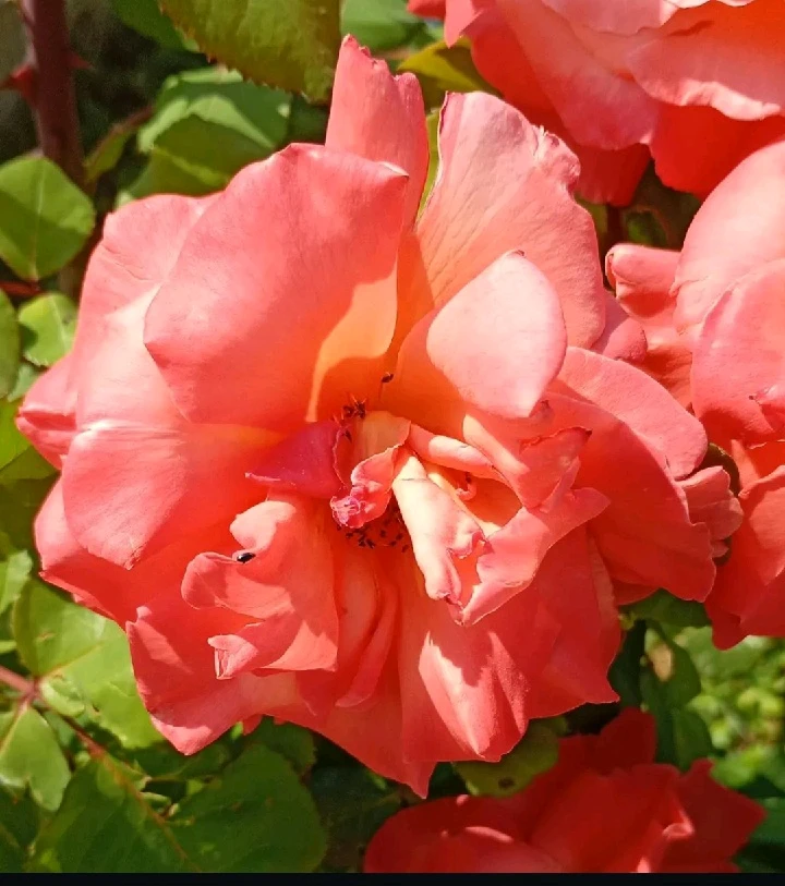 GIF uploaded by Samuel