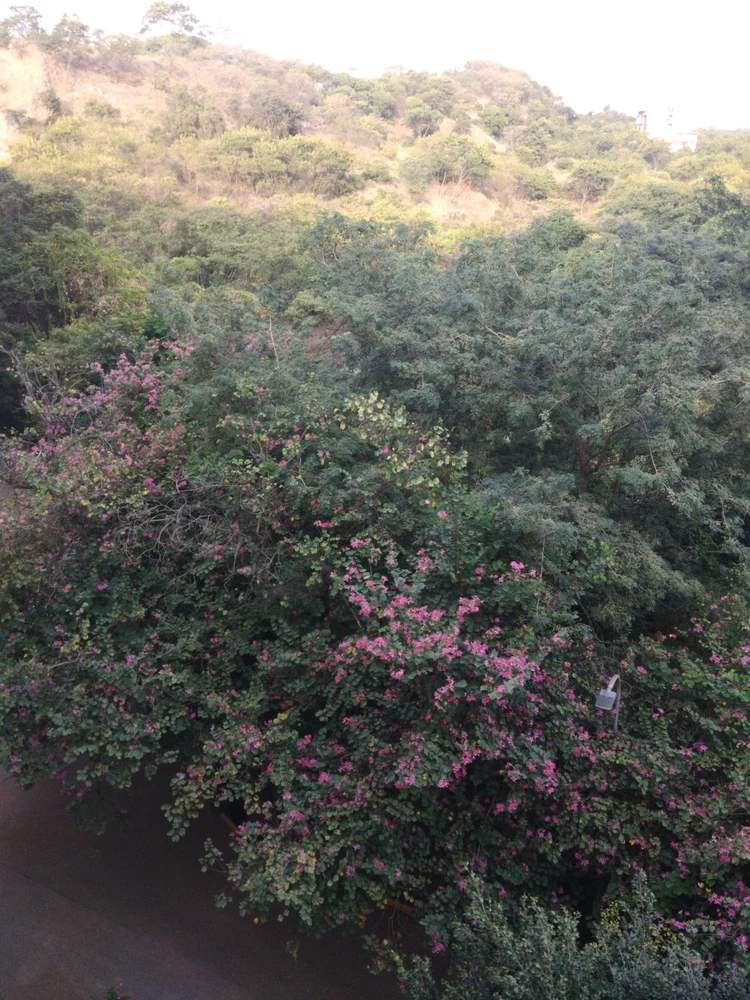 GIF uploaded by Surya