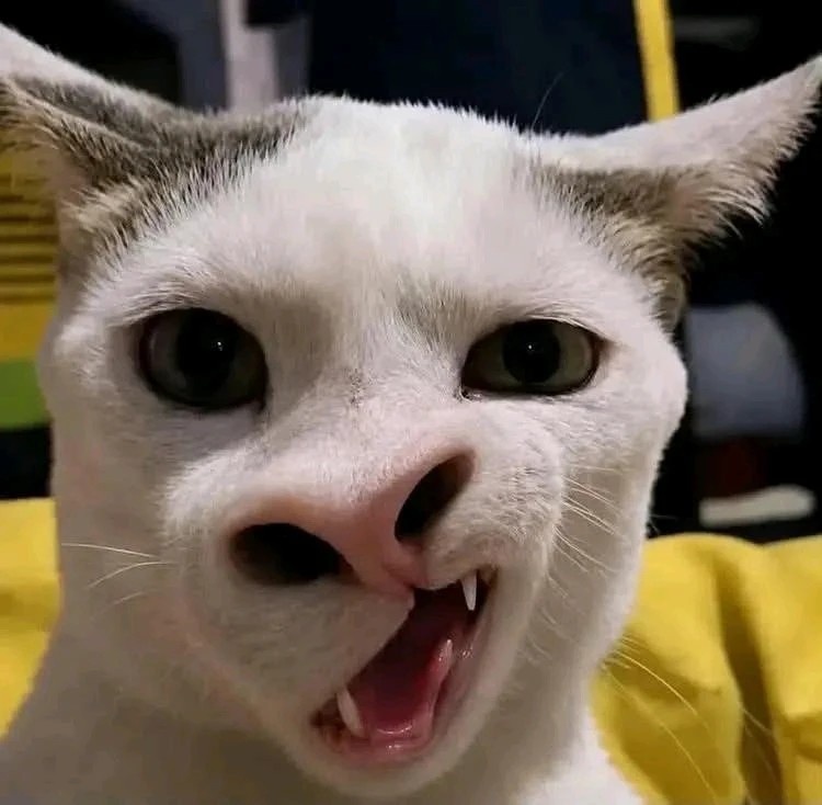 GIF uploaded by Arina Risqin