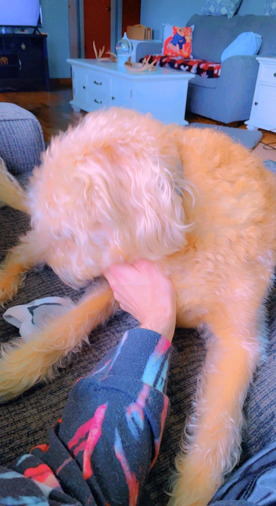 GIF uploaded by Bryan
