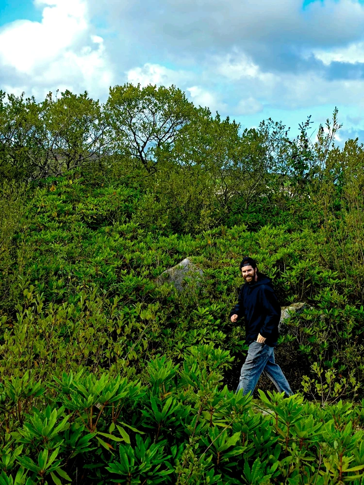 GIF uploaded by Jamie