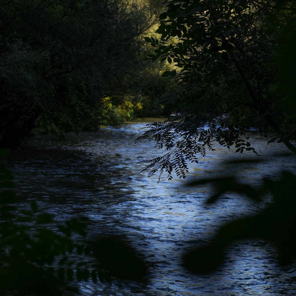 GIF uploaded by Борис