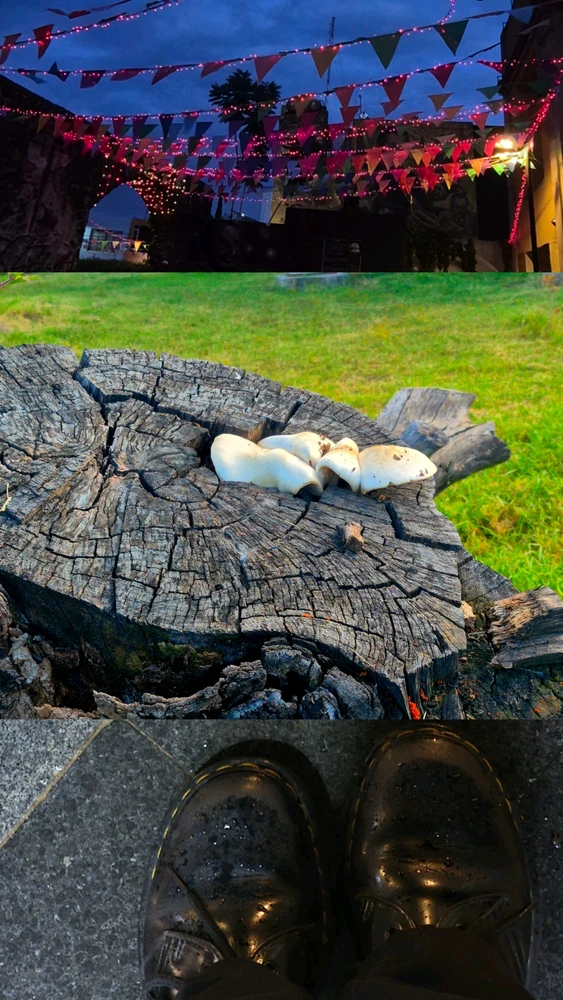 GIF uploaded by Alek