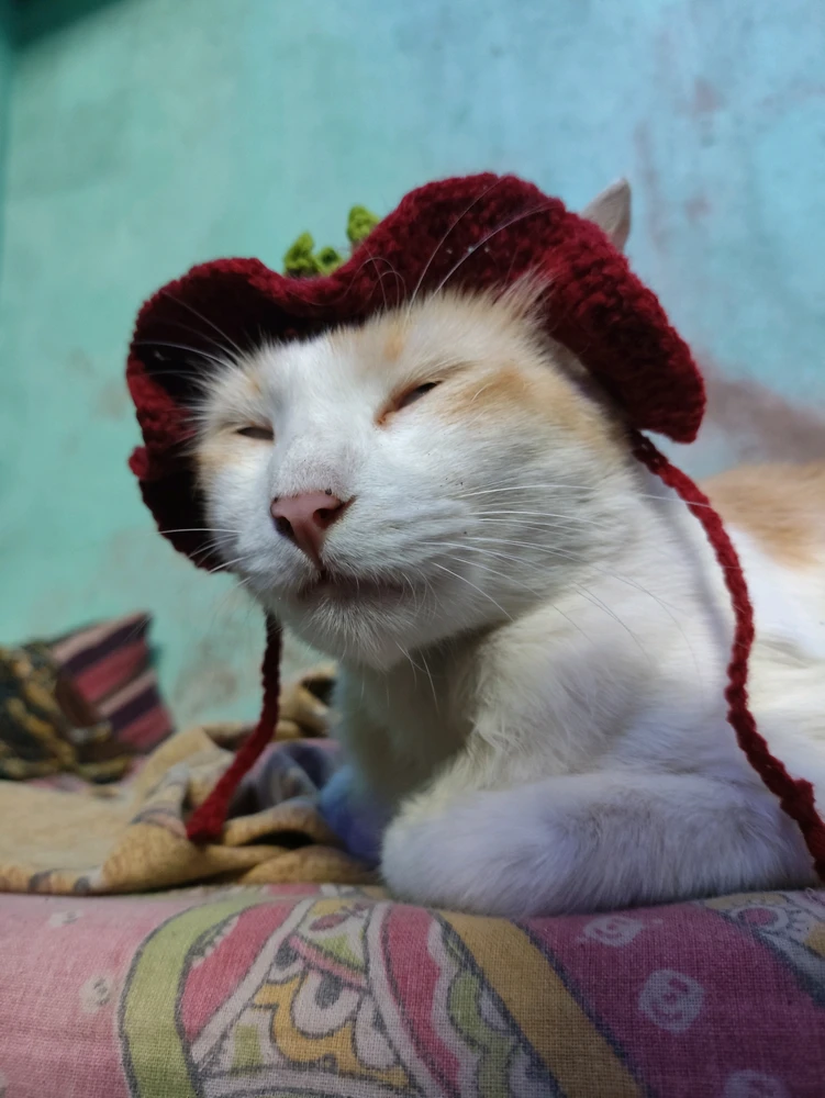 GIF uploaded by Deep