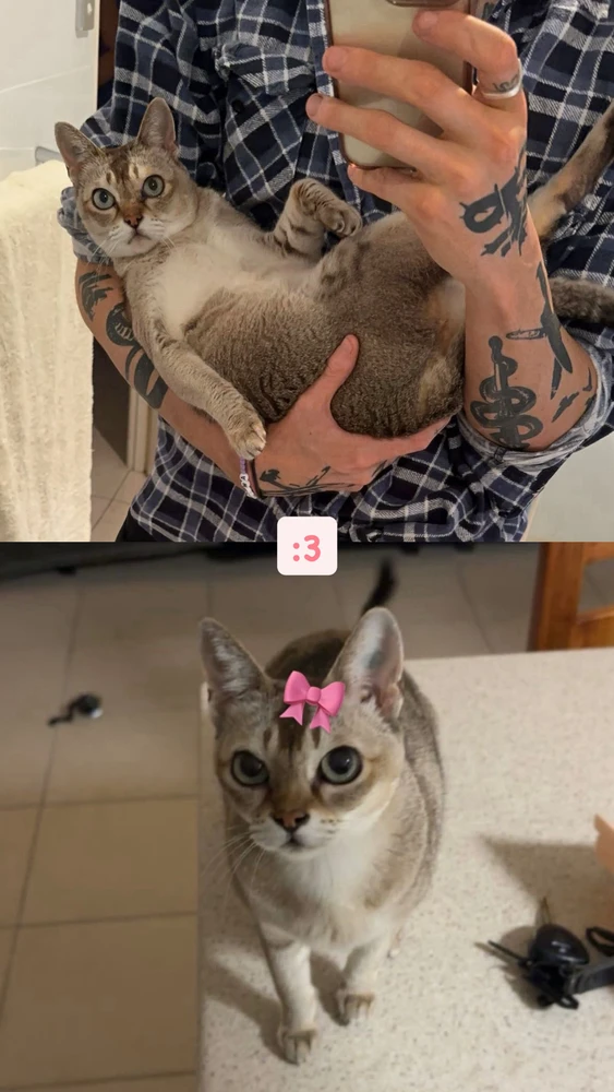 GIF uploaded by Jase