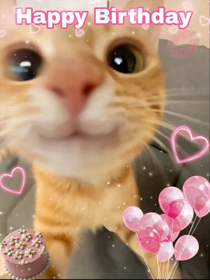 GIF uploaded by Kate