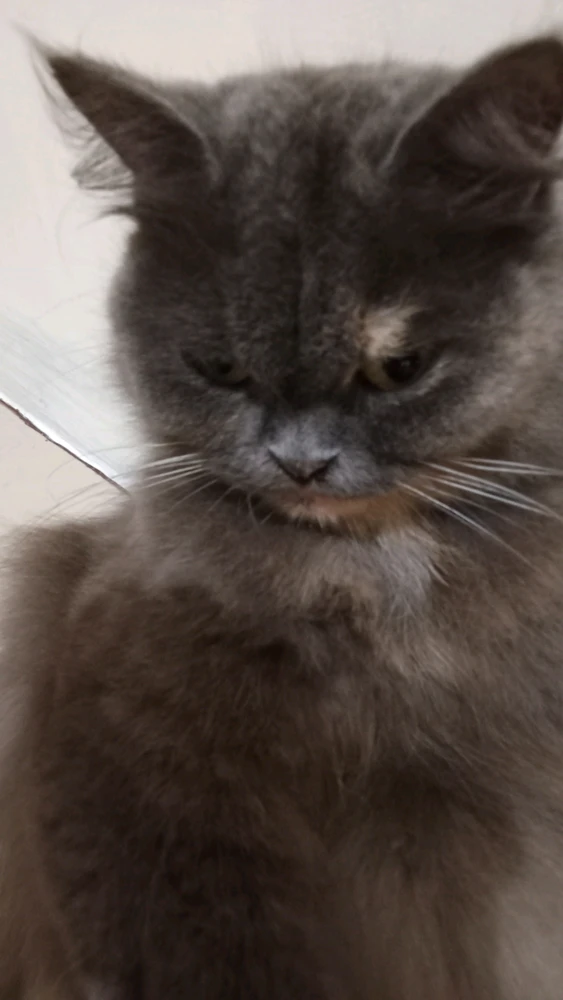 GIF uploaded by Jam