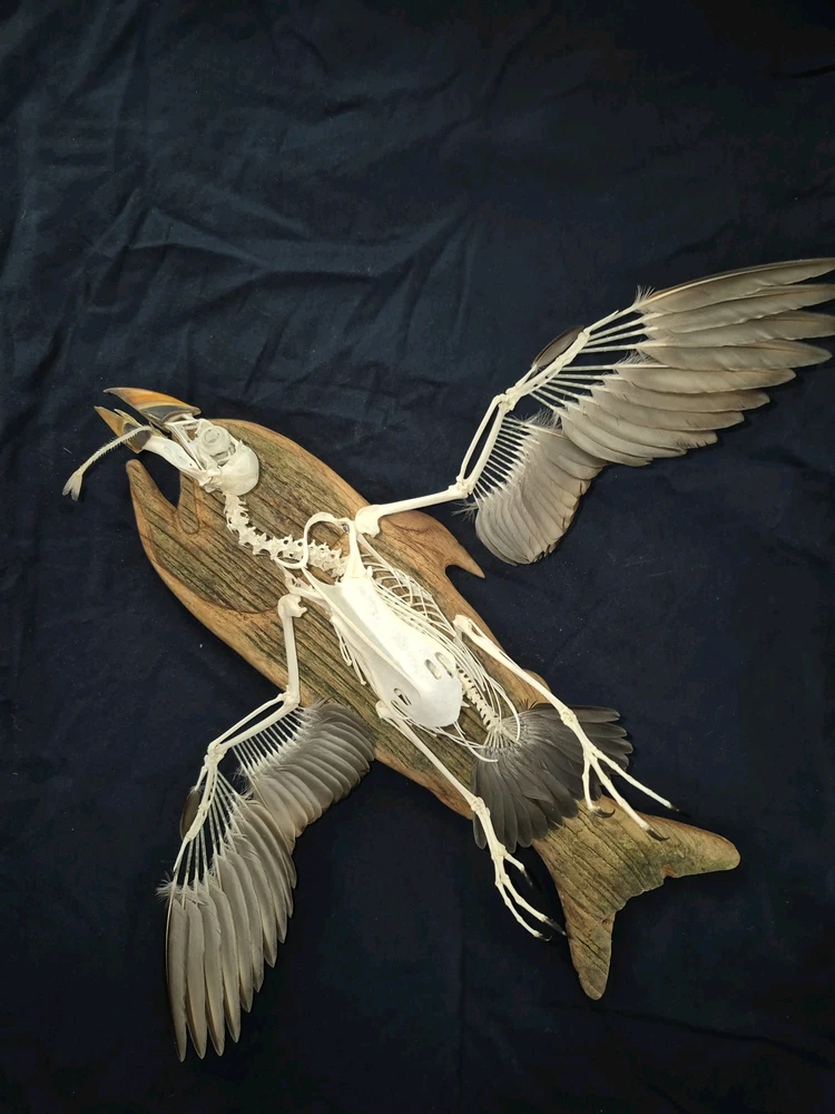 Image uploaded by Oliver Beach