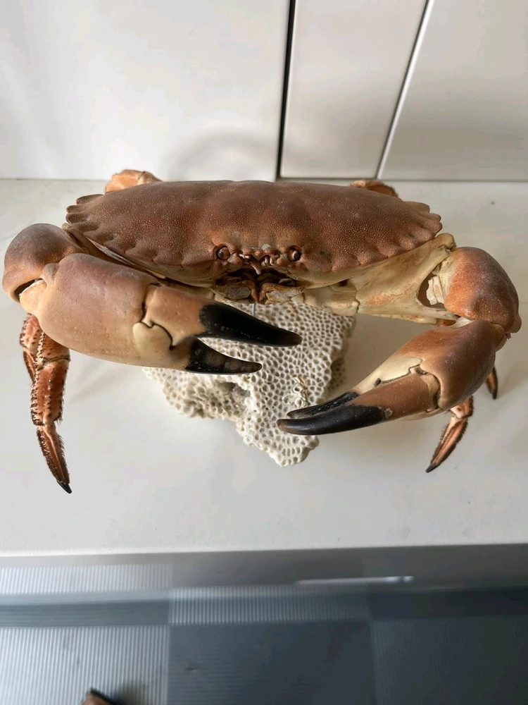 Image uploaded by Oliver Beach