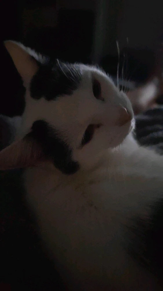 GIF uploaded by Brent
